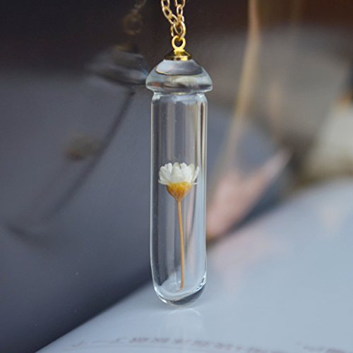 Daisy Ivory Real Flowers Transparent Mushroom Glass Bottle 18K Gold Plated Long Necklace 26" Length Chain