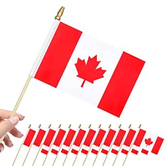 Canada Flag Mini Canadian Flags 12Pcs Small Canada Hand Flag Hand Held Canadian National Flags Stick Drapeau Du Canada Day Bunting Decorations Outdoor for Kids Office Sports Competition Table Decor