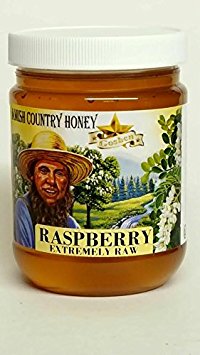 Amish Extremely Raw RASPBERRY Blossom Honey 1Lb