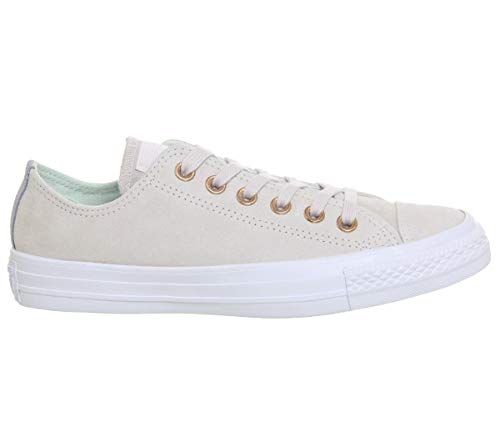 Converse Unisex-Adult Chuck Taylor All Star Core Ox Trainers