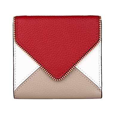 Dante Women's RFID Blocking Small Compact Bifold Leather Pocket Wallet Ladies Mini Purse with id Window