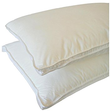 Natural Comfort ALLERGY SHIELDS Luxurious Down Alternative Pillows, 34 oz fill, Set of 2