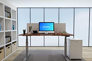 AITERMINAL Electric Standing Desk Frame Dual Motor Height Adjustable Desk Motorized Stand Up Desk-Grey(Frame Only)