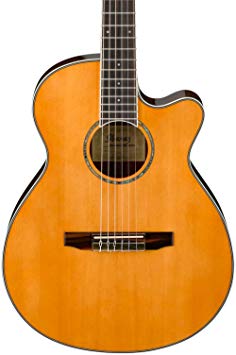 Ibanez AEG10NII Nylon String Cutaway Acoustic-Electric Guitar Tangerine