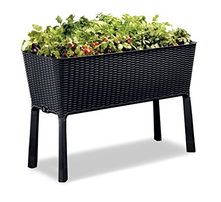 Keter 238699 Easy Grow Elevated Garden Bed, Anthracite