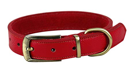 Rantow Strong Padded Leather Classic Pet Dog Training Collars, Adjustable Neck Size 35cm to 45cm and 2.5cm Wide, Belt Style Easy to Use Headcollar for Medium/Small Dogs (Red)