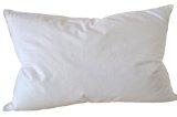 Natural Comfort Standard Classic White Goose Down Feather Pillow 40-Ounce Set of 2