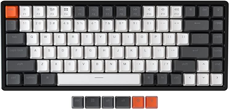 Keychron K2 75% Layout 84 Keys Hot-swappable Bluetooth Wireless/USB Wired Mechanical Keyboard with Gateron G Pro Red Switch/Double-Shot Keycaps/RGB Backlight for Mac Windows Version 2, Aluminum Frame