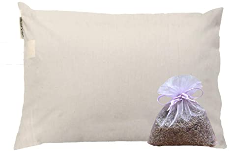 Beans72 Organic Aromatherapy Buckwheat Pillow - King Size (20 inches x 36 inches)