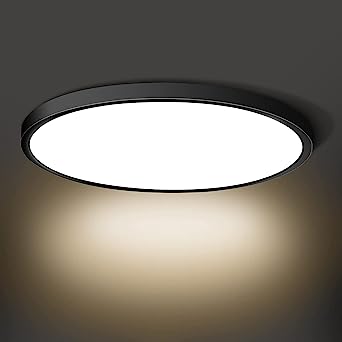 LED Flush Mount Ceiling Light Fixture, 4000K Nature Black 24W(240W Equiv) 12 Inch Flat Round Modern Ceiling Lighting, 3200LM Ceiling Lamp for Bathroom Porch, Kitchen, Bedroom, Living Room, Hallway