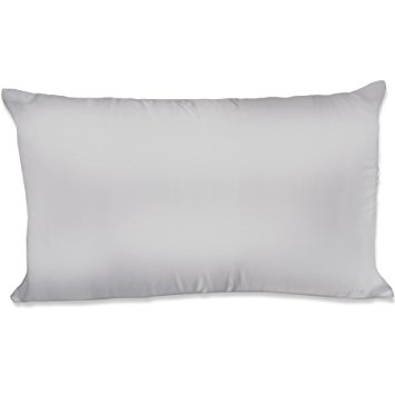 Spasilk Hair Beauty Satin Pillowcase, Queen 20"x30", Silver