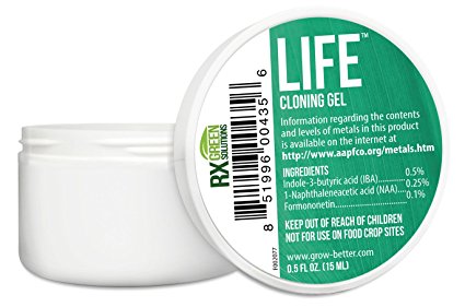 Rx Green Solutions Life Cloning Gel, 1/2-Ounce