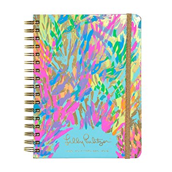 Lilly Pulitzer 17 month Large Agenda 2017-2018 (Sparkling Sands)