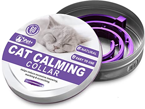 PETPLUS Cat Calming Collar for Cats | Purrfect to Reduce Your Pet’s Anxiety or Aggression | Pheromones for Cats & Cat Anxiety Relief | Cat Calming Products for Kittens | 2-Month Protection, 1 Collar