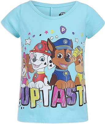 Paw Patrol Nickelodeon Girls Short Sleeve T-Shirt for Toddler and Little Kids - Grey/Pink/White/Blue