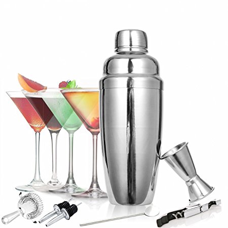 Toogou Classic and Elegant Stainless Steel 8-Piece 24 oz Martini and Cocktail Shaker Set