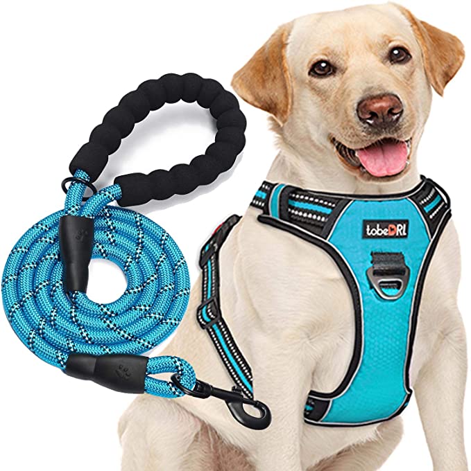 tobeDRI No Pull Dog Harness Adjustable Reflective Oxford Easy Control Medium Large Dog Harness with A Free Heavy Duty 5ft Dog Leash
