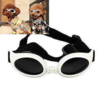 Pet Leso Dog Puppy UV Protection Sungoggles Doggie Glasses Windproof And Snow Protection Glasses