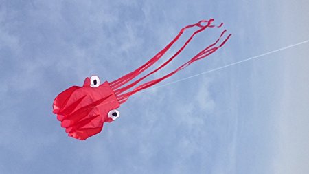 PLCEO Large Octopus Kite, 135 Feet of Line and String Winder, a Children's Good Gift