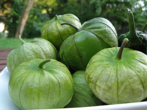 100  Tomatillo Verde Seeds- Heirloom Variety-"Green Tomato","Ground Cherry"