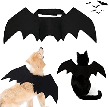 Strangefly Halloween Bat Wings Pet Costume,Party Dress Up Funny Cool Apparel,for Cat and Small Medium Large Dog(M)