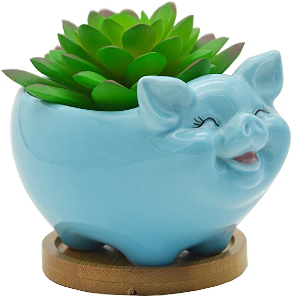 Cute Animal Pig Shaped Ceramic Succulent Cactus Flower Pots with Bamboo Tray (Plant Not Included) … (Medium, Blue)