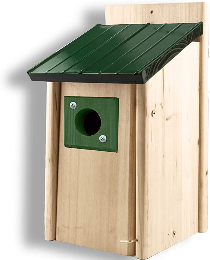 Bluebird House with Predator Guard and Metal Roof | Cedar Bird House for Outside Wild Bird Watching | Bluebird Nesting Box with Forest Green Accents