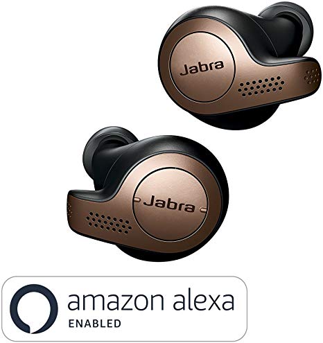 Jabra Elite 65t Alexa Enabled True Wireless Earbuds with Charging Case (Copper Black)