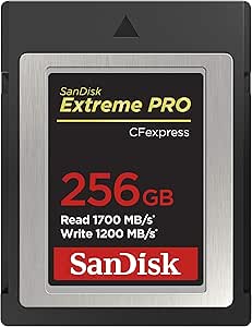 SanDisk 256GB Extreme PRO CFexpress Card Type B - SDCFE-256G-GN4IN