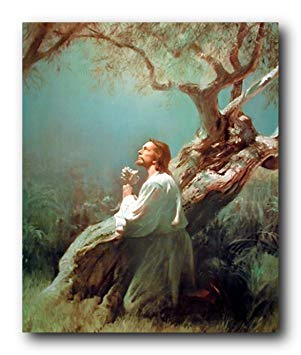 Jesus Christ Praying at Gethsemane Picture Art Print Poster (16x20)