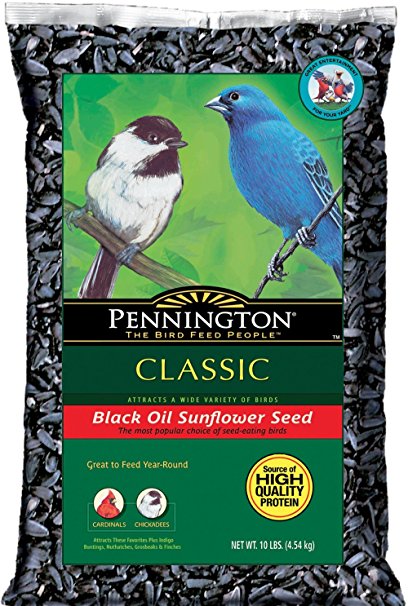 Pennington Classic Sunflower Oil Seed for Feeding