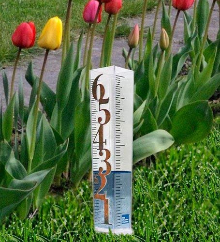 The Weather Channel® Patina Rain Gauge by La Crosse Technology®