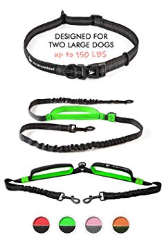 Pet Dreamland Double Dog Leash Hands Free - Two Dogs Coupler Set | No Tangle, No Pull Tandem Dual Bungee Lead for Walking, Running, Hiking | Size: Small/Large Dogs