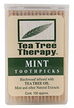 Tea Tree Therapy Toothpicks Mint -- 100 Toothpicks - 2pc