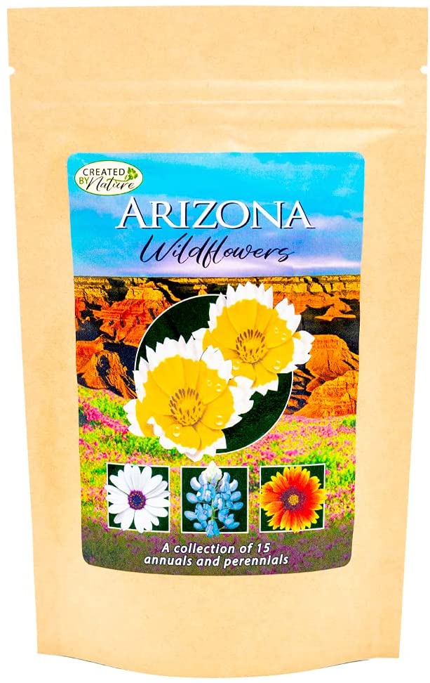 Arizona Wildflower Seed Mix - Over 40,000 Premium Seeds - by 'createdbynature' - Enjoy The Natural Beauty of Arizona Flowers in Your own Home Garden