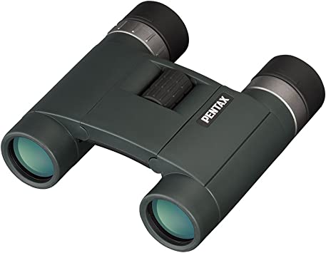 Pentax AD 8x25 WP BaK-4 Binoculars Black 105 mm 110 mm 40 mm 300 g