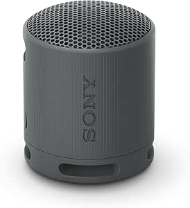 Sony SRS-XB100 - Enceinte sans Fil Bluetooth, Portable, légère, compacte, Durable, IP67, étanche à l'eau et à la poussière, Batterie 16H, dragonne Polyvalente, appels Mains Libres, Noir