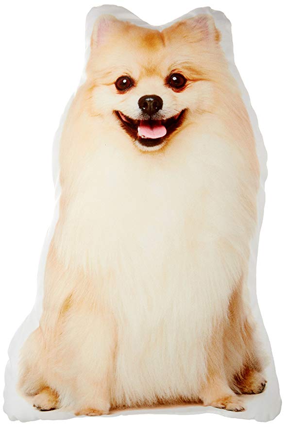 Pomeranian Accent Pillow