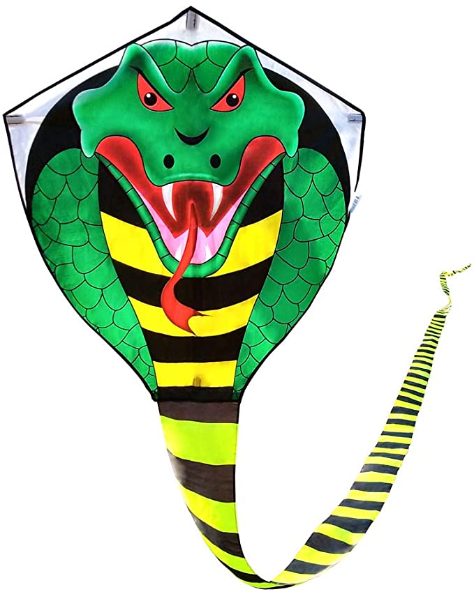 Cobra Kite for Kids Adults Large by Mint's Colorful Life