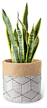 Mkono Plant Basket Cotton Linen Modern Indoor Planter Up to 10 Inch Pot Double-Faced Flower Pot Cover with Jute Lining for Storage Organizer Home Decor, 11" x 11"