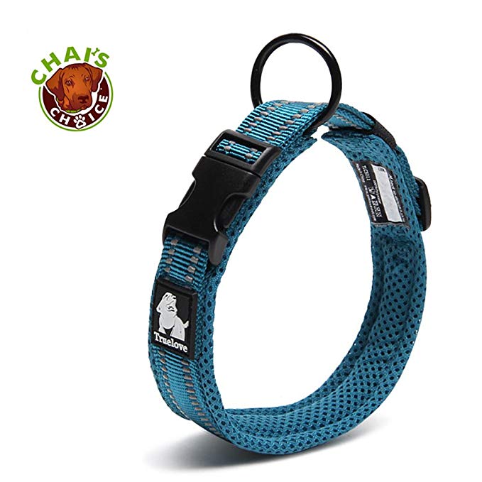 Chai's Choice Best Padded Comfort Cushion 3M Reflective Dog Collar for Small, Medium, and Large Dogs and Pets. Perfect Match for Our Harness and Leash.