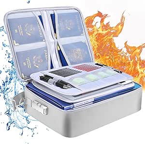 BALEINE Fireproof Document Bag with Lock, Portable Waterproof Fire Proof File Organizer Box, File Storage Bag Safe Box for Important Paperwork (Silver)