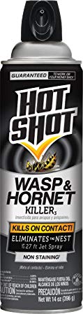 Hot Shot Wasp and Hornet Killer, Aerosol, 14-Ounce
