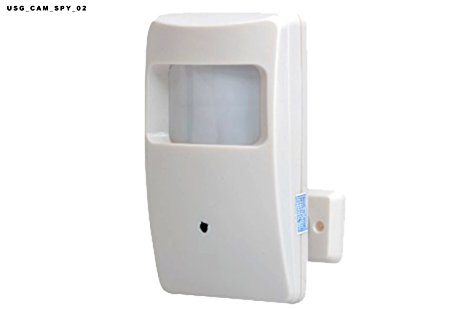 USG Cheap 420TVL Hidden Surveillance Camera (PIR Motion Sensor Detector)   65' Nighttime IR LEDs