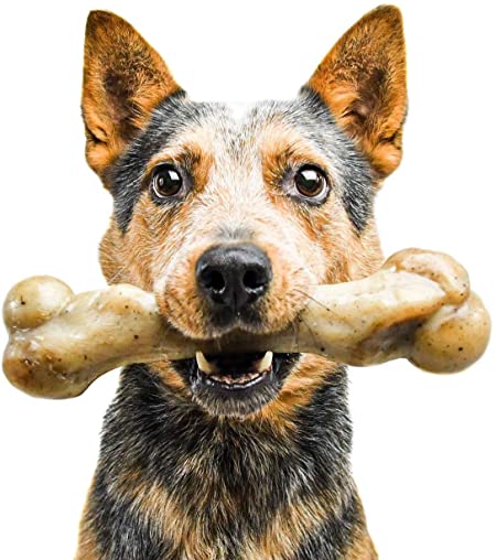 Pet Qwerks Zombie NYLON BarkBone - Chew Toy for Aggressive Chewers, Tough Durable Extreme Power Chewer Bone | Made in USA, FDA Compliant Nylon - 4 Sizes Available