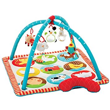 Skip Hop Funky Farmyard Activity Mat (Discontinued by Manufacturer)