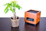 Mammoth Air Purifier Q3 Real Wood Desktop 4 Stage Purification with Fresh Air HEPA Odor Carbon Ion Ionizer with Adjustable Fan Speed- Cherry Color