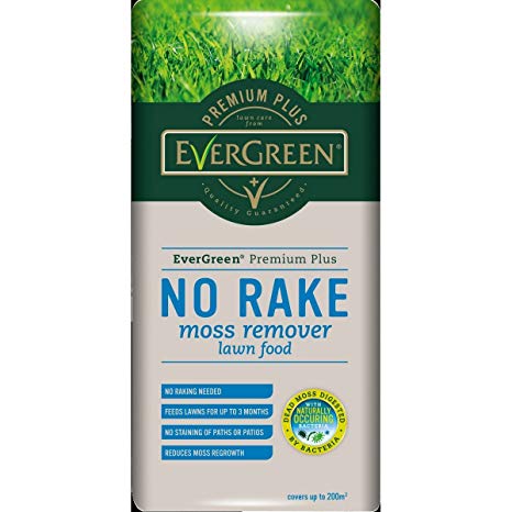 Evergreen No Rake Moss Remover 200m2 (20kg)