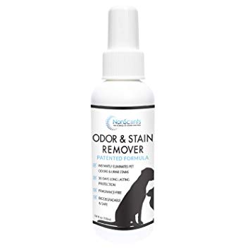 NonScents Pet Odor & Stain Remover Spray - Pet Stain & Odor Eliminator for Dog and Cat Urine (Fragrance-Free, Outperforms Baking soda & enzymes) (Travel Size, 60ml)