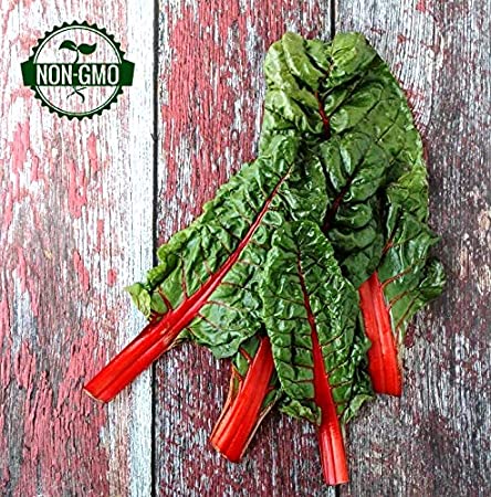 Gaea's Blessing Seeds - Organic Swiss Chard Seeds Ruby Red Rhubarb 250+ Seeds Non-GMO Heirloom 87% Germination Rate Net Wt. 4.1g